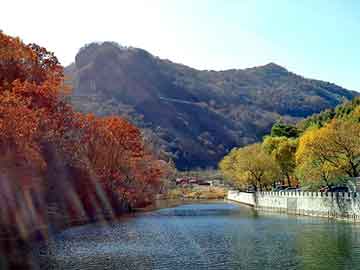 新澳天天开奖资料大全旅游团，一路飘香小吃车骗局